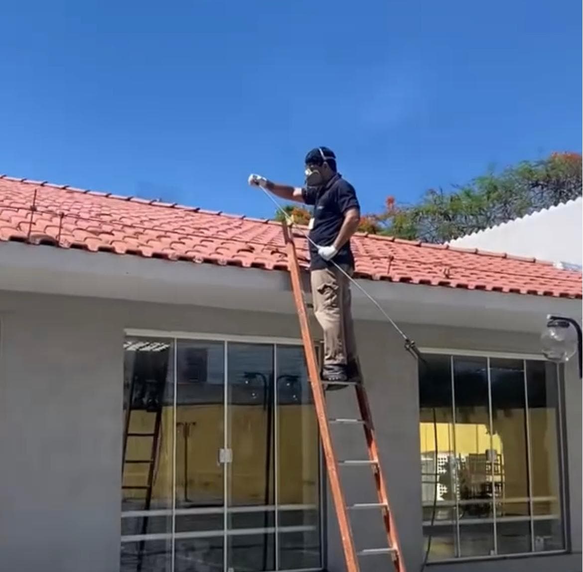 Dedetização de Cupins em Campos dos Goytacazes - Soluções Profundas e Eficazes